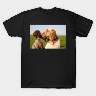 Deer watching Spinoni T-Shirt